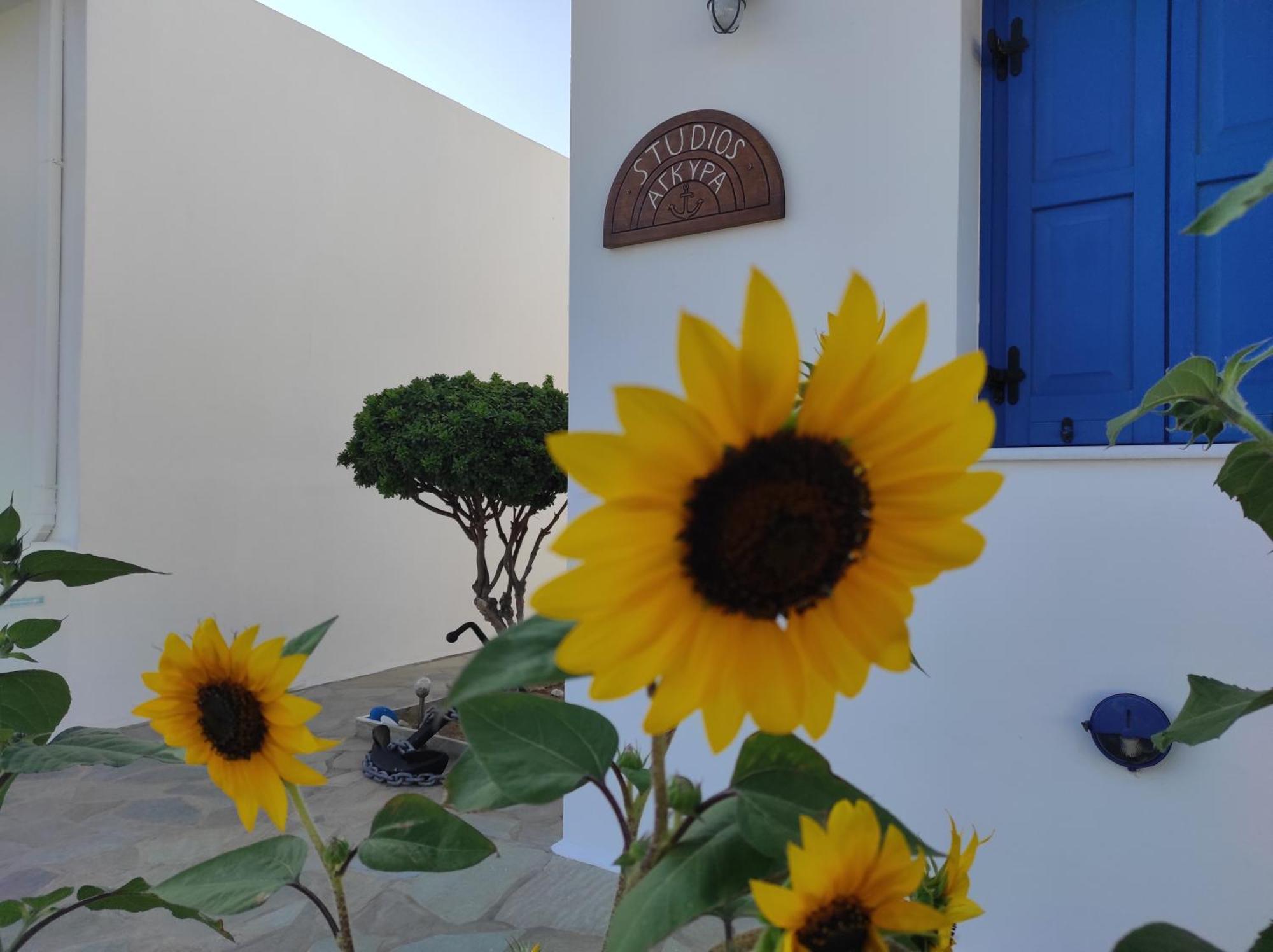 Livadi  Studios Αγκυρα מראה חיצוני תמונה